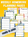 BUNDLE: Weekly Homework Undated Notepad | Back to School Organization | Fruit, Ice Cream, Candy, Desserts